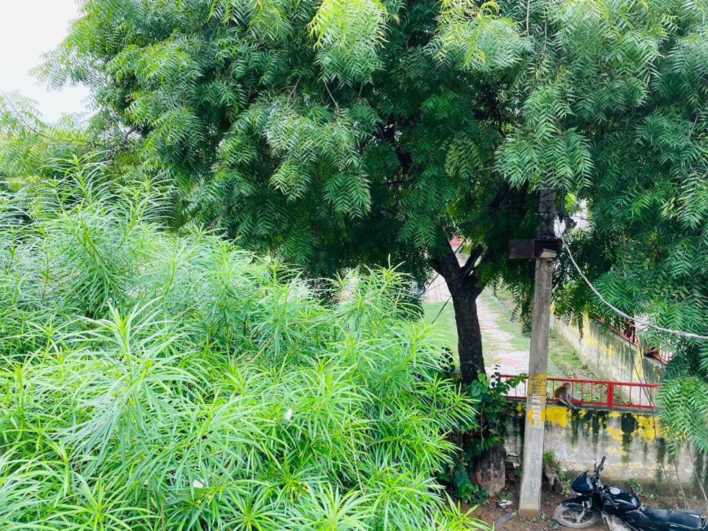 Shree Balaji Homestay Ayodhya 외부 사진